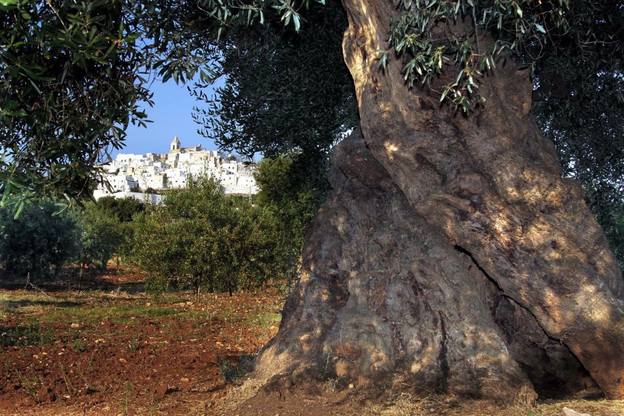 B&B La Stradella Ostuni Εξωτερικό φωτογραφία